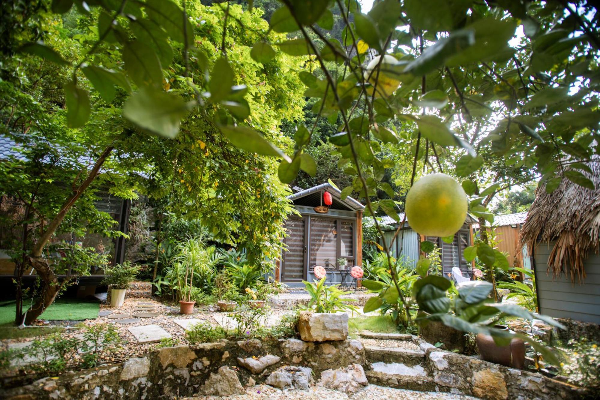 Hoang Minh Mountainside Villa Ninh Binh Exterior photo